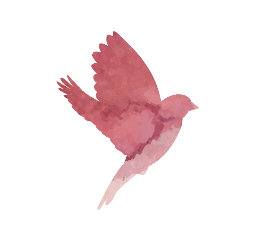 Jupie Yoga Logo Bird